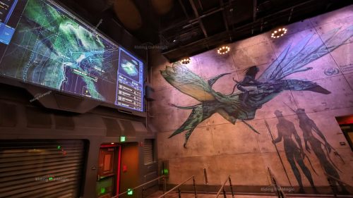 Avatar Flight of Passage