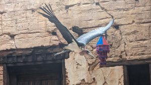 Feathered Friends in Flight!