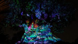 Tree of Life Awakenings