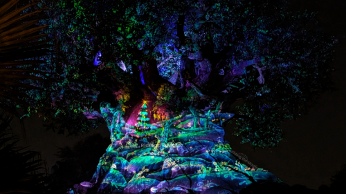 Tree of Life Awakenings